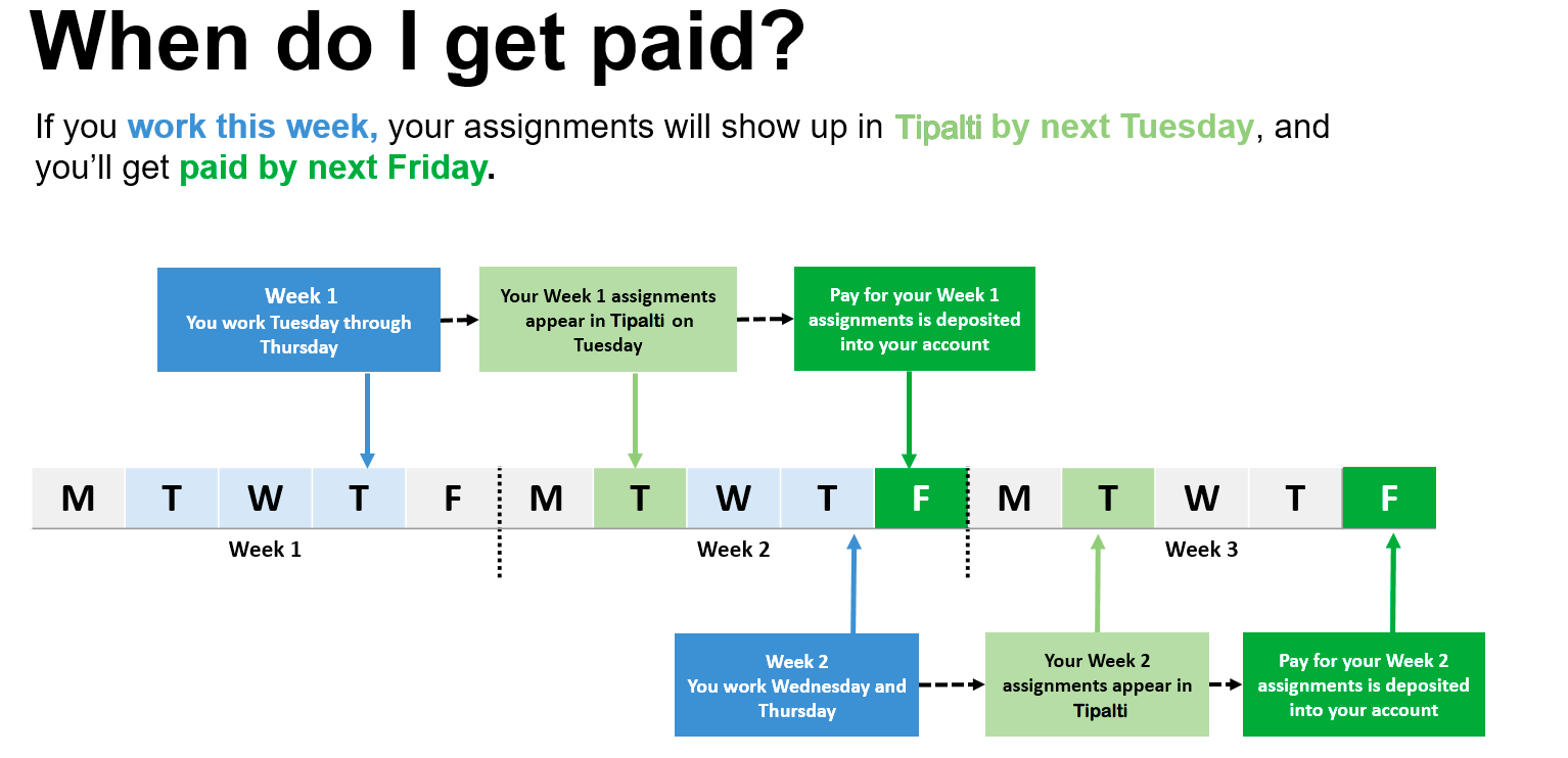 paid assignments